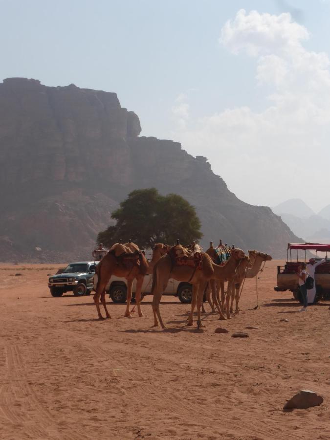 Sunrise Camp Hotel Wadi Rum Exterior photo